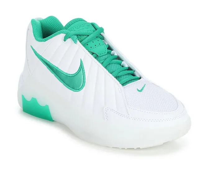 Boys' Nike Lebron Witness IX Gradeschool Basketball Shoes