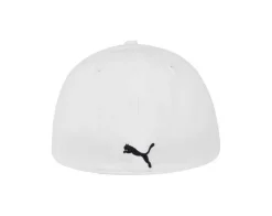 Puma Men's Evercat Dillon 2.0 Stretch Cap