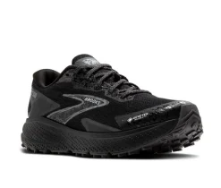 Women's Brooks DIVIDE 5 GTX WMS Running Shoes